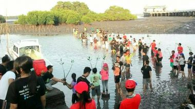 Aksi Penanaman 1000 Mangrove di Bali