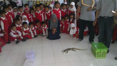 Ophio Jogja Reptiles Club: Menjaga & Mengembangkan Kelestarian Hayati Fauna Reptil di Indonesia