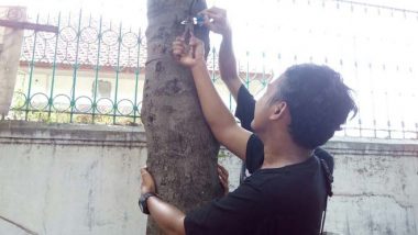 Komunitas Punk Turut Peringati Hari Bumi Dengan Cabut Paku Pohon
