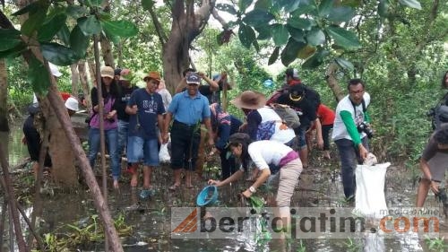 Komunitas Peduli Surabaya Terjun Pungut Sampah Di Rumah Mangrove Wonorejo