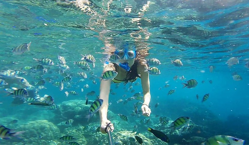 Perhatikan Hal-Hal Berikut Supaya Snorkelingmu Menyenangkan