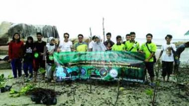 4 Komunitas Pecinta Lingkungan Tanam Mangrove di Pantai Batu Perahu Toboali
