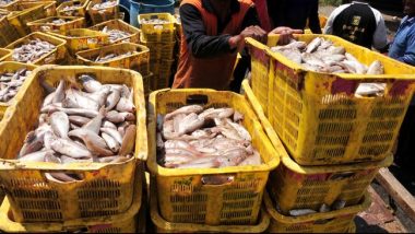 Kiara Minta Pemerintah Evaluasi Kebijakan Impor Ikan