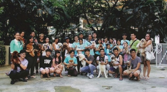 Pencinta Anjing Paws Family (PAPF); Tak Sekedar Kumpul Memanjakan Hewan