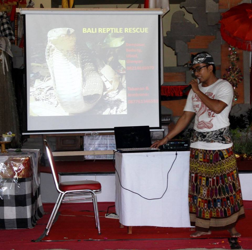 Bali Reptile Rescue: Satu-Satunya dari Indonesia, Menangkan Penghargaan Perlindungan Reptil