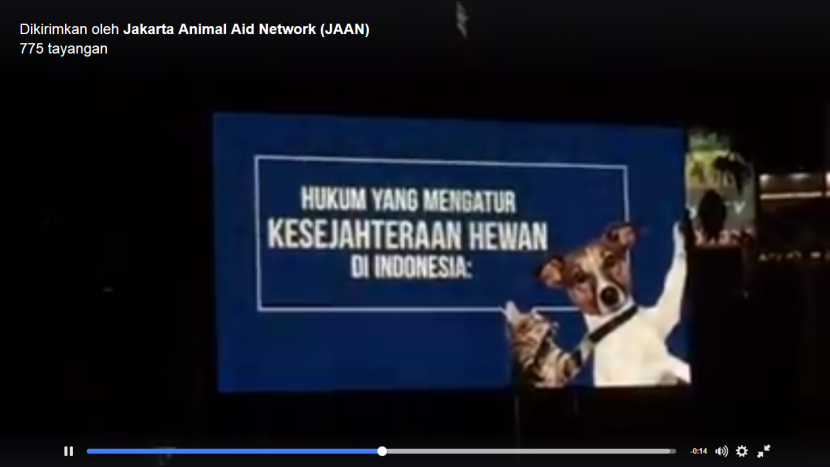 Jakarta Animal Aid Network: Berikan Bekal Edukasi Tentang Kesejahteraan Hewan