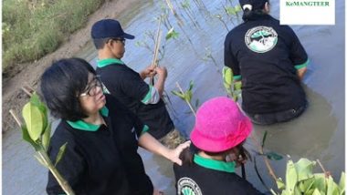 KeMANGTEER Semarang dan STT Harvest Tanam 500 Mangrove di Mangunharjo