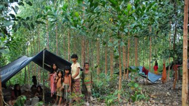 Komunitas Konservasi Indonesia Warsi: Upayakan Pemenuhan Kebutuhan Generasi Mendatang