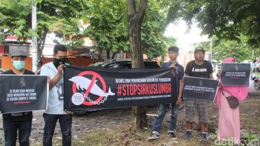 Jakarta Animal Aid Network Tolak Sirkus Lumba-Lumba