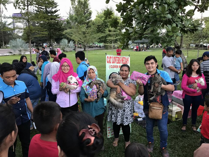 CLover; Wadah Silaturahmi Sesama Pecinta Kucing di Medan