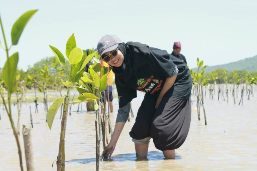 Meriahkan Festival Pulo Aceh, Yayasan Lamjabat Tanam 1000 Mangrove