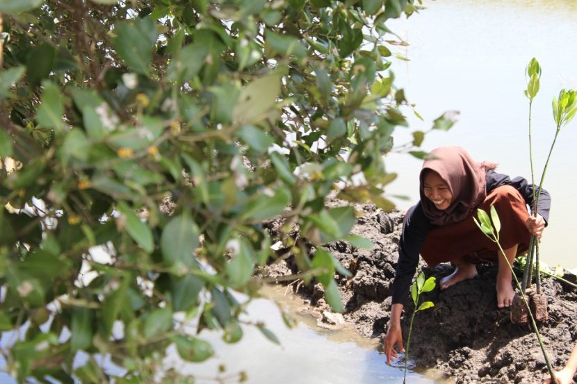 Komunitas Dompet Dhuafa Volunteer (DDV) Banten Lakukan Aksi Penanaman Mangrove