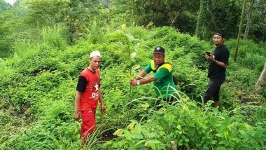 Sejumlah Komunitas di Kabupaten Purworejo Tanam 600 Bibit Aneka Pohon Langka