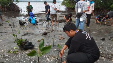 14 Komunitas Kepemudaan Lakukan Aksi Rehabilitasi Mangrove di Pinrang