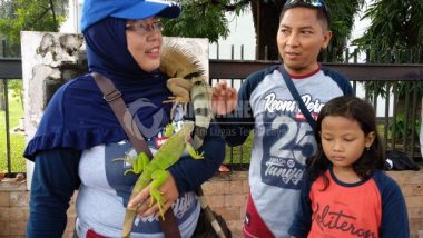 Komunitas Pecinta Iguana Jember, Sosialisasikan di CFD