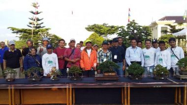 Senang dan Hobi Seni Bonsai, Yuk Gabung di Persatuan Penggemar Bonsai Indonesia Bandung
