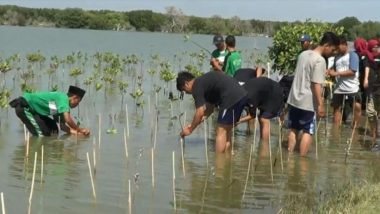 Cegah Abrasi, Pelajar dan Komunitas Pecinta Alam Kendal Tanam Ribuan Mangrove