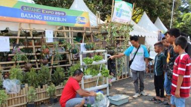 Gerakan Hijaukan Batang, Komunitas Batang Berkebun Kenalkan Urban Farming pada Masyarakat