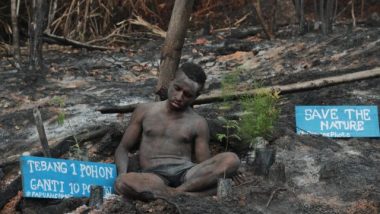 Cara Komunitas Papuansphoto Serukan Penyelamatan Cycloop
