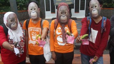 Komunitas Orangufriends Padang Gelar Aksi Simpatik Lindungi Orangutan
