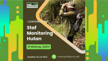 PROFAUNA Indonesia Foundation :  STAF LAPANGAN MONITORING HUTAN