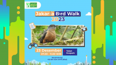 Burung Jakarta: Jakarta Bird Walk